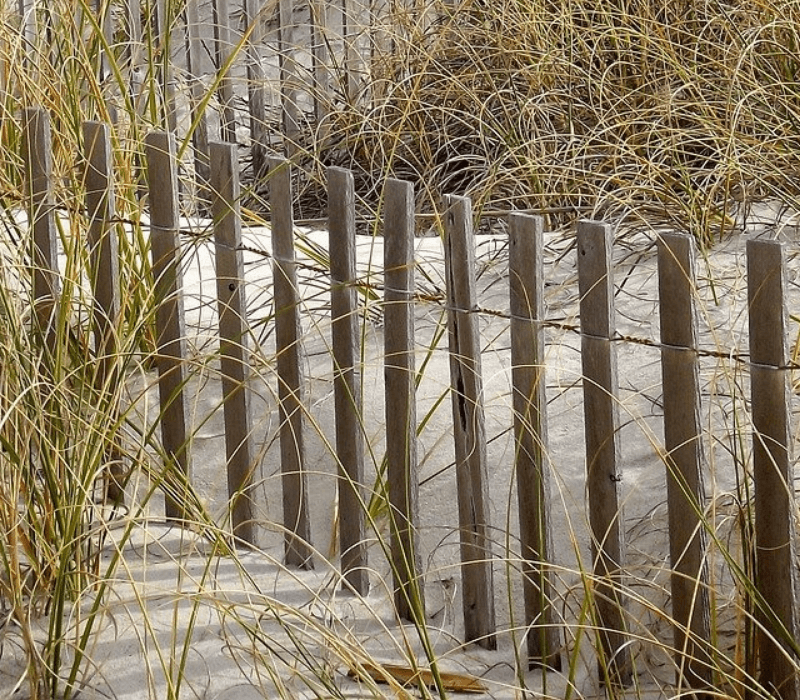 Grenzen stellen